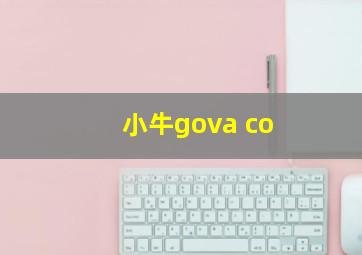 小牛gova co